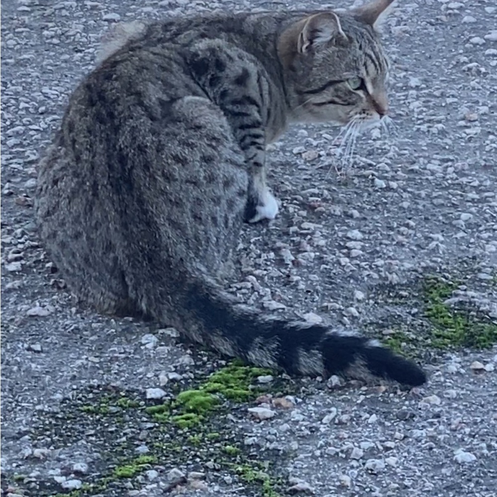 💕TRADE💕 - Picture 6 of 13